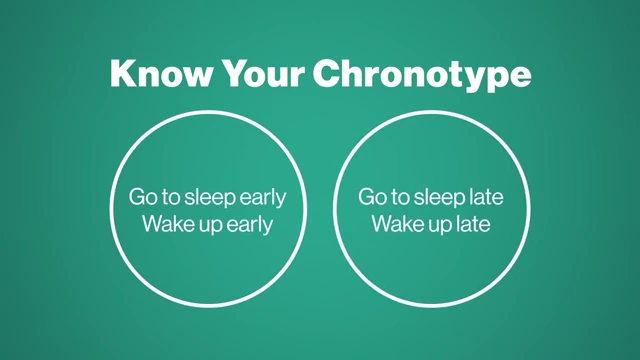 Illustration demonstrating different chronotypes: early bird vs. night owl