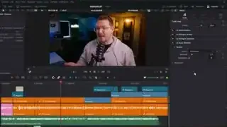 Audio Ducker in Timeline