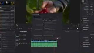 Vertical UI Layout in DaVinci Resolve