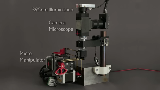 Microscope setup with the micro-manipulator holding an integrated circuit die