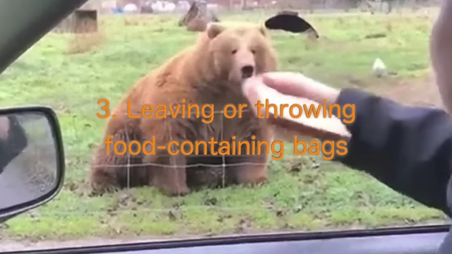 Illustration of someone throwing food to a bear