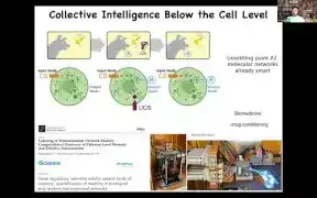该图展示了细胞内部的分子网络如何进行学习，包括巴甫洛夫式条件反射，揭示了细胞层面以下的集体智能。