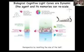 该图展示了生物认知光锥的动态性，从单个细胞的有限感知和记忆到整合个体扩展的感知和记忆，说明了通过连接细胞可以扩大其认知范围和目标。