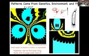 该图展示了Z=Z^3+7的Halley图，一个由简单数学函数生成的复杂图案，其形式不能仅由遗传或环境来解释，暗示了超越物理的模式来源。