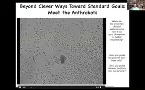 该图展示了“人形机器人”，这些由成人气管细胞自组装形成的微型生物，它们具有运动能力，基因组与人类完全相同，但展现出全新的形态。