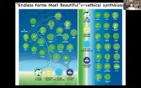 该图展示了多样化的生命形式，包括进化的、设计的和混合的生物，强调需要与这些“最美丽的无穷形式”建立伦理共生关系。