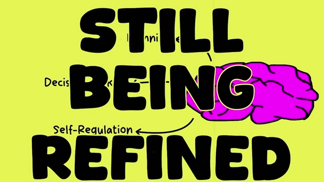 The prefrontal cortex, responsible for planning and self-regulation, is still being refined in your 20s.