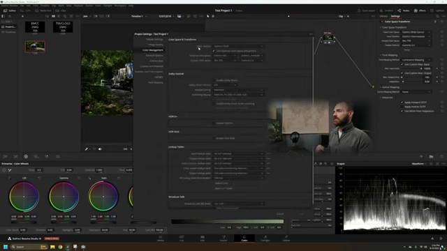 DaVinci Resolve Project Settings for Color Management
