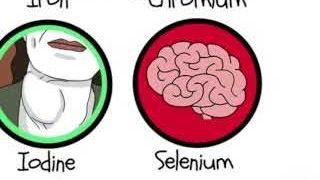 Overview of vitamin and mineral deficiencies with their associated symptoms.