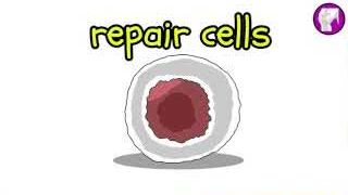 Image showing a cell, representing phosphorus's role in cell repair.