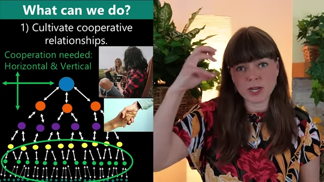 Cultivating both horizontal and vertical cooperative relationships