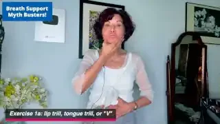 讲者演示唇颤音时感受腹部参与