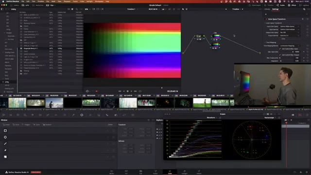 A color chip chart demonstrating the effect of Luminance Mapping on colors during tone mapping, showing how it preserves chromaticity.
