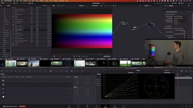 A color chip chart demonstrating the effect of Saturation Preserving tone mapping, showing distinct differences in color treatment.