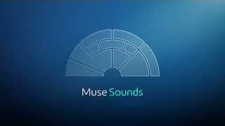 Muse Sounds，MuseScore 4中全新的管弦乐音色插件