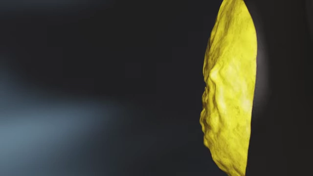 A title card introducing "LAYER 2" with a visual representation of a thinner layer of fat compared to Layer 1.
