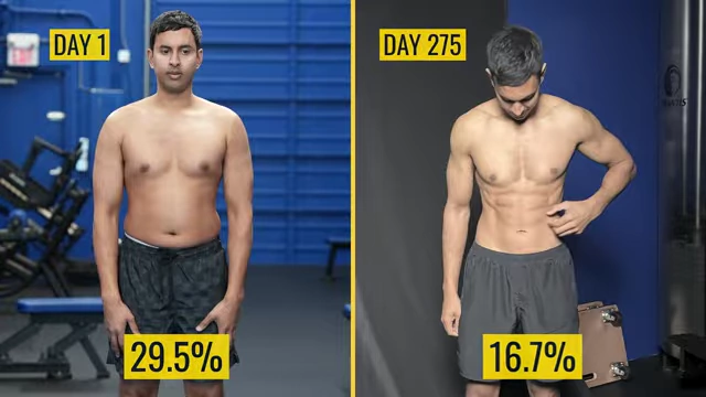 Nimesh's transformation from Day 1 to Day 275, showing a significant reduction in overall body fat and prominent abdominal definition.