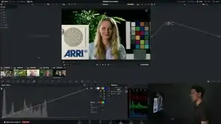 DaVinci Resolve Curves Panel Overview