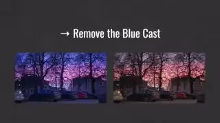 Technical White Balance focuses on accuracy by removing color casts.