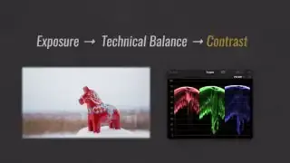 The recommended order for technical adjustments: Exposure, Technical Balance, then Contrast.