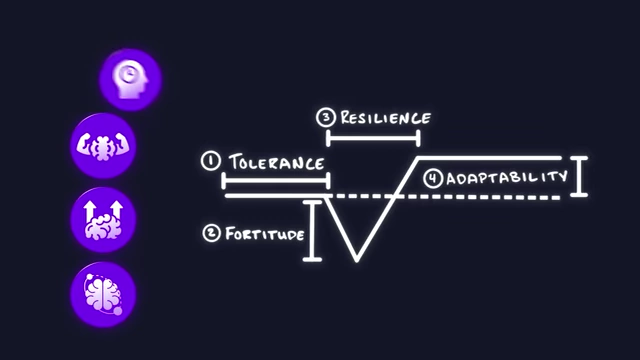 Framework for understanding mental toughness and behavior change