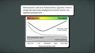 Graph showing homeostatic and non-homeostatic appetite control along the spectrum of physical activity levels