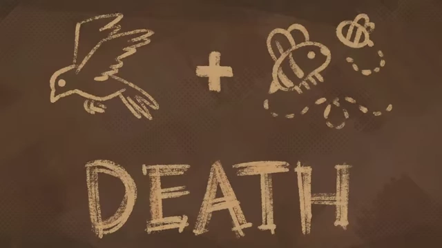 A chalkboard showing "Bird + Bee = Death," highlighting the inadequacy of abstinence-only sex education.