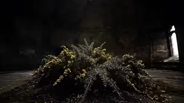An image of thorny gorse in a dimly lit chamber illustrates Neuburg's bed during his isolation