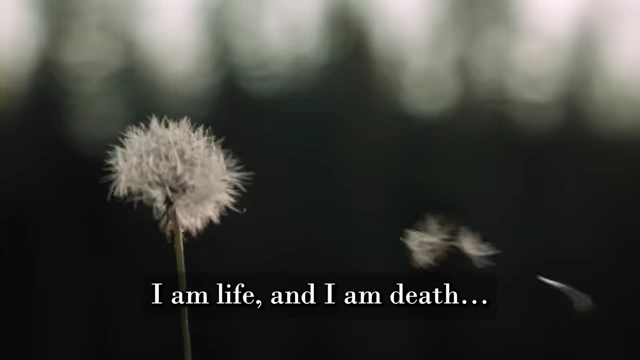 Dandelion seeds blow in the wind, accompanied by a quote from the crowned child: "I am life, and I am death"