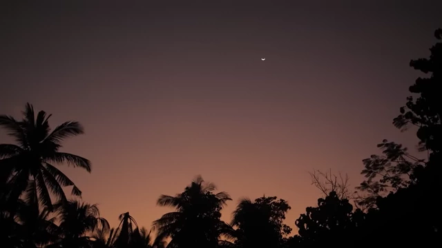A night sky with a crescent moon over palm trees, setting the scene for the invocation of Aether Ar in Biscra