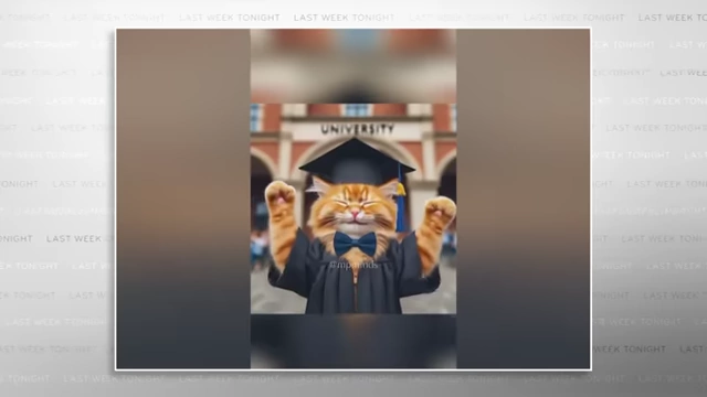 An AI-generated cat in a graduation cap, from a viral video