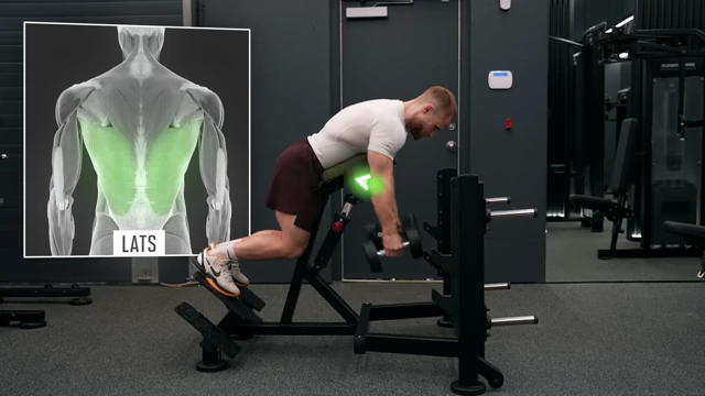 An animated graphic highlights the latissimus dorsi muscles as Jeff Nippard demonstrates a lat-focused row on the adjustable seal row machine.