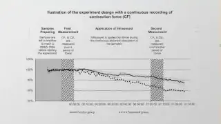 A graph showing a decrease in heart contraction force (CF) in a treated group exposed to infrasound compared to a control group.