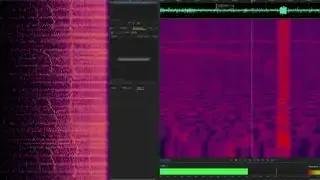 A spectrogram showing sound frequencies over time, with strong red rumbles visible and a time point highlighted at 3:30 AM.