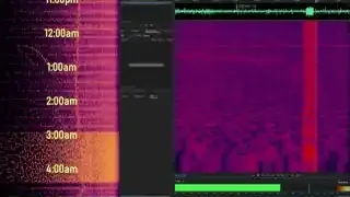 A spectrogram with time labels on the left, emphasizing a period of strong, unexplained rumbles between 3:00 AM and 4:00 AM.