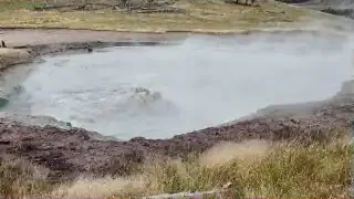A close-up of a bubbling hot spring, with steam rising from its surface.