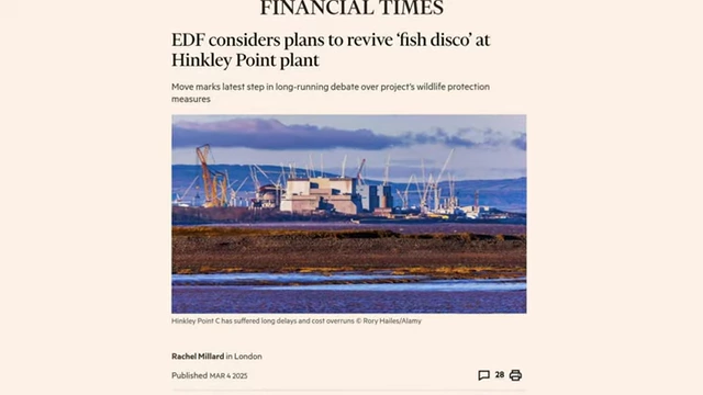 The 'fish disco' concept at Hinkley Point C