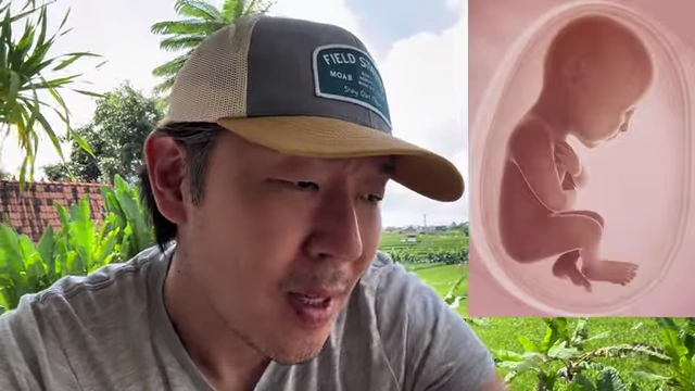 Fetus in the womb, paralleling the fetal sleeping position.