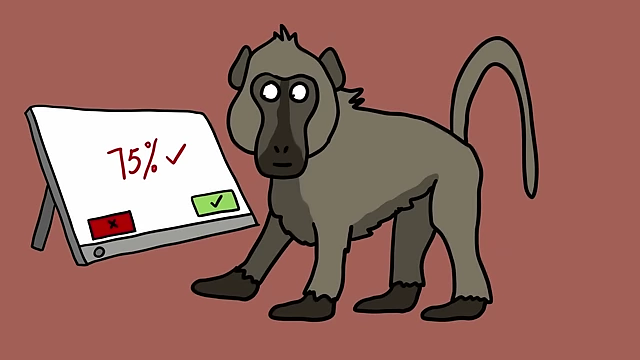 Baboons showed remarkable accuracy, correctly identifying made-up words 75% of the time in a study.