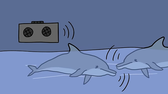 Dolphins were observed producing sounds eerily similar to whale songs while sleeping.
