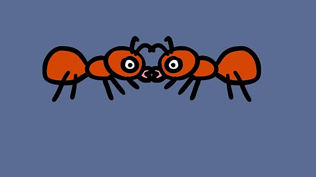 Ants exchange saliva through trophallaxis, transferring pheromones and other chemical information about the colony.