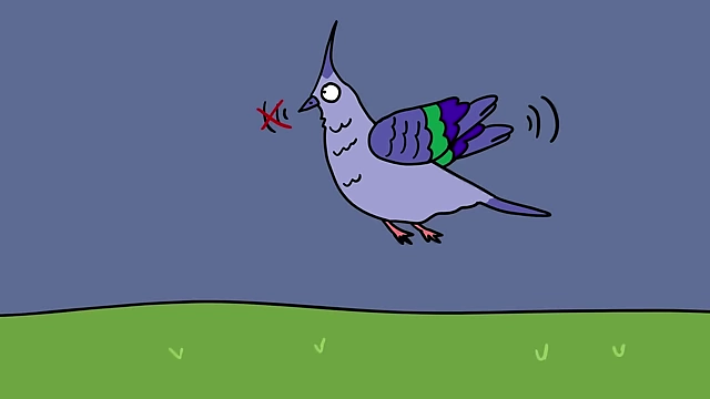The alarm whistle of the Crested Pigeon is produced by vibrations in its eighth primary feather.