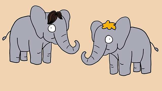 Each elephant possesses a unique voice, allowing biologists to distinguish individuals by their calls.