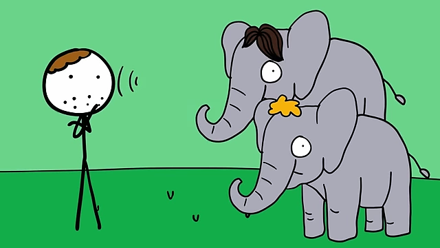 Biologist Andrea Turkalo can identify individual elephants by the sound of their calls after years of study.