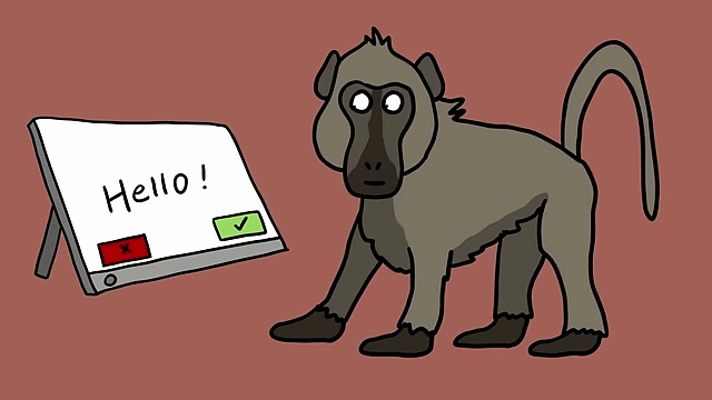 A baboon uses a touchscreen to identify real versus nonsense words in a linguistic pattern recognition study.
