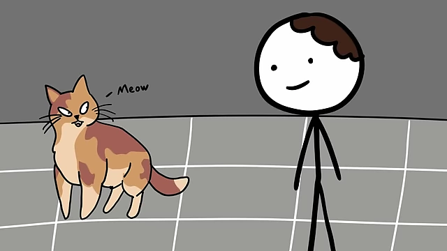 Cats primarily meow to communicate with humans, whether to greet them, seek attention, or ask for food.