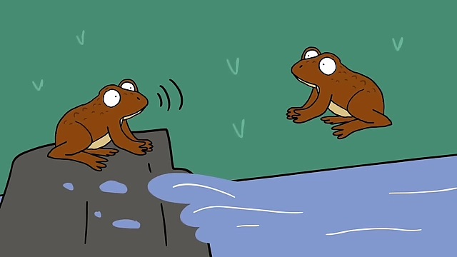 These frogs adapted to using higher ultrasonic frequencies to communicate in noisy environments with rushing water.