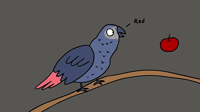 Alex, an African Grey parrot, was famous for his ability to identify colors and articulate abstract concepts.