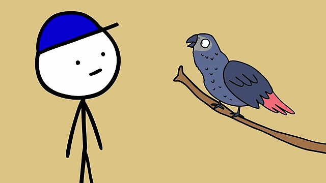 Alex the parrot was known for his ability to joke with his trainer.