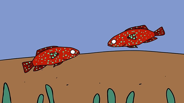 Coral groupers coordinate their hunting by signaling each other, acting as a "call to action" for group hunting.